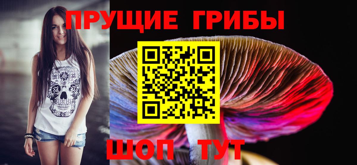 Галлюциногенные грибы прущие грибы Юрга